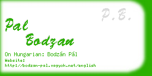 pal bodzan business card